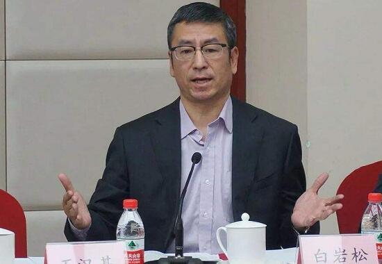 武漢“封城”效果是否明顯？上班后食堂集中用餐如何防護(hù)？白巖松連線